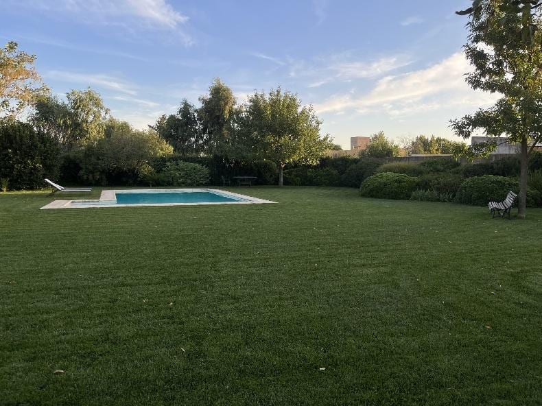 La historia de Grand Prix: la primera festuca turf type desarrollada en Argentina